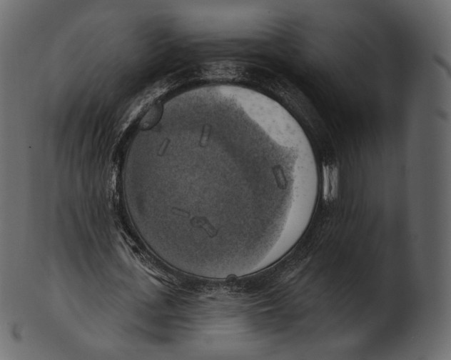 X0000100500723200807031940