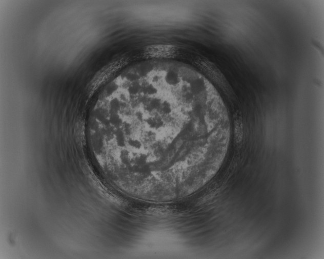 X0000100500725200807031940