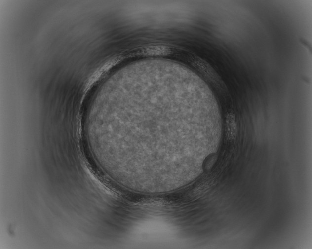 X0000100500726200807031940