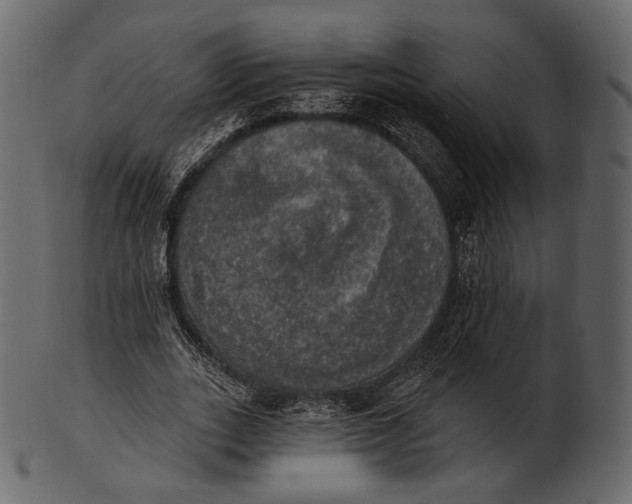 X0000100500727200807031940