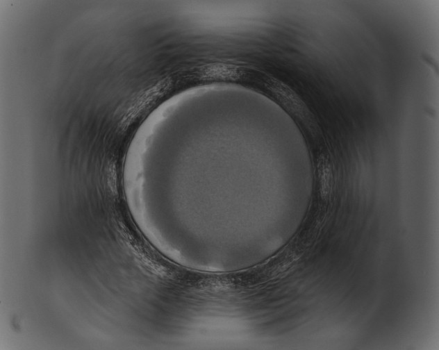 X0000100500729200807031940