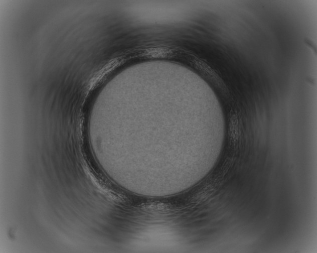 X0000100500730200807031940