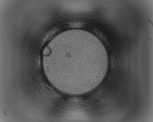 X0000100500731200807031940