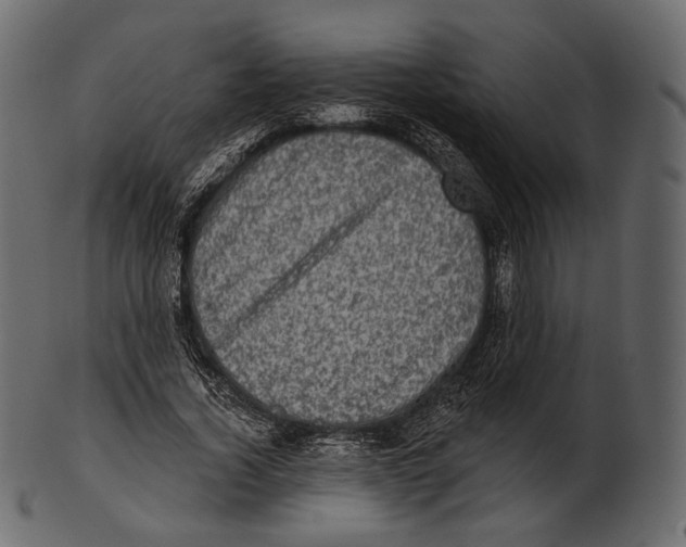 X0000100500732200807031940