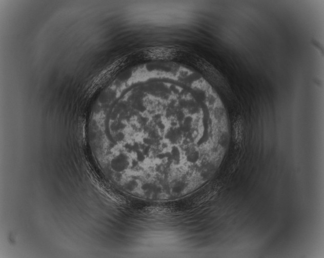 X0000100500733200807031940