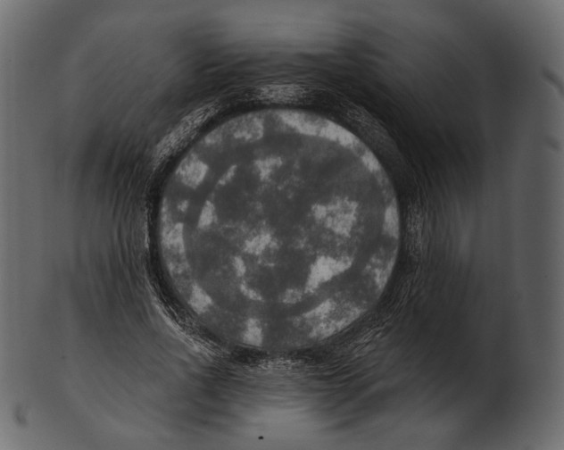 X0000100500734200807031940