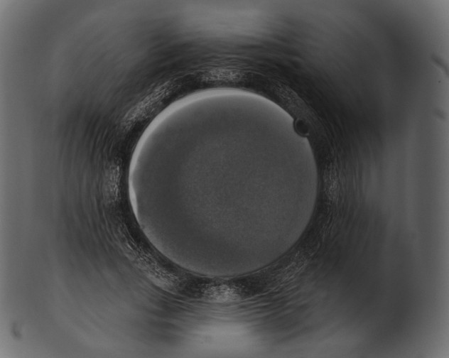 X0000100500735200807031940