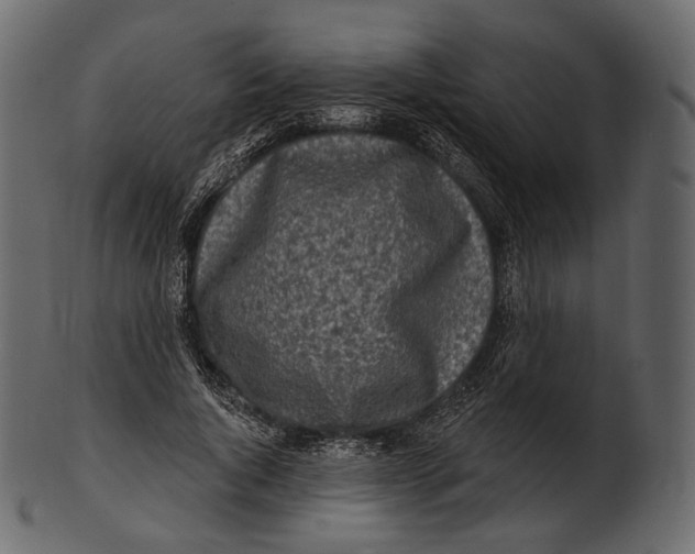 X0000100500736200807031940