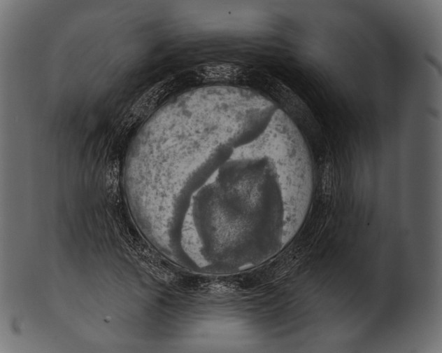 X0000100500737200807031940