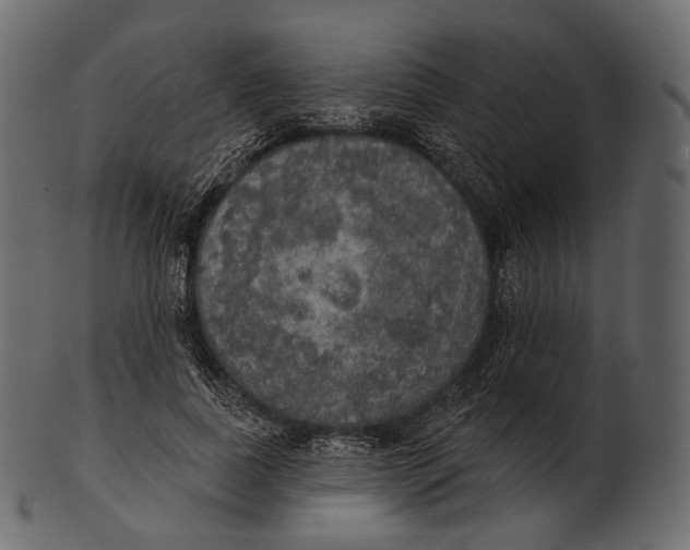 X0000100500739200807031940