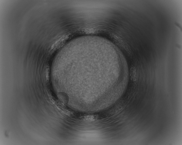 X0000100500740200807031940