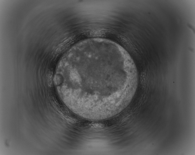 X0000100500741200807031940