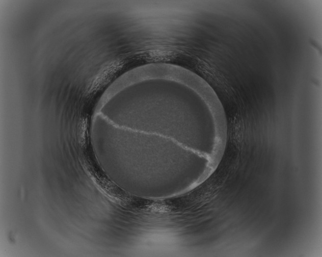 X0000100500742200807031940