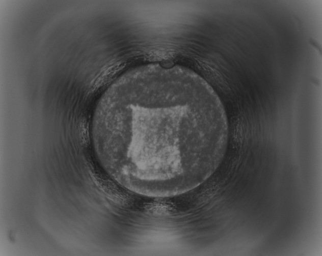 X0000100500743200807031940