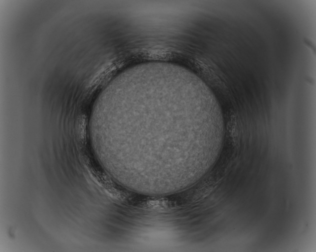 X0000100500744200807031940