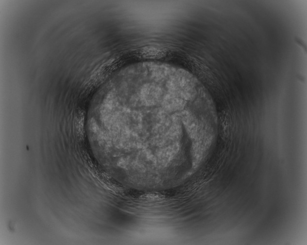 X0000100500745200807031940