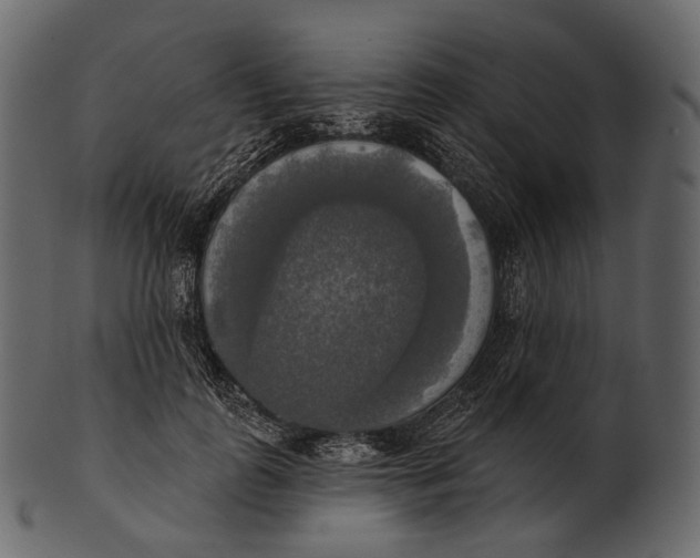 X0000100500747200807031940