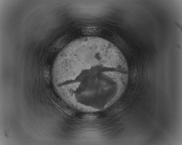 X0000100500749200807031940