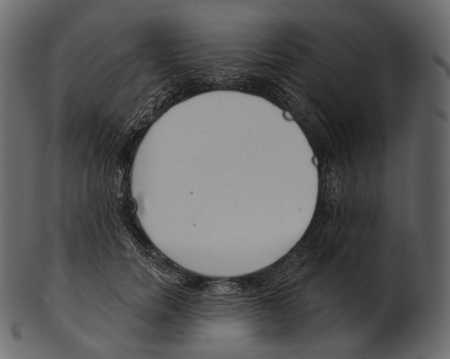 X0000100500750200807031940