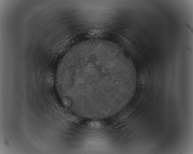 X0000100500751200807031940