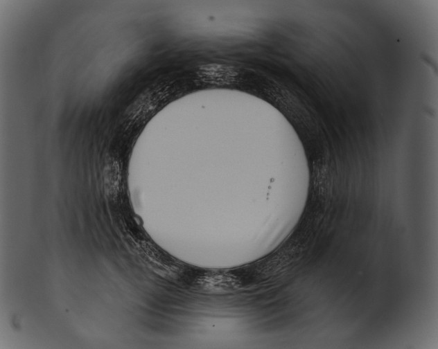 X0000100500752200807031940