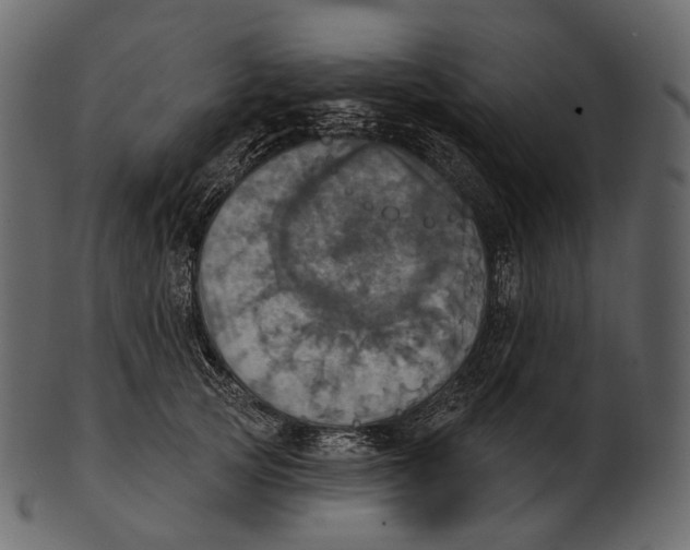 X0000100500753200807031940