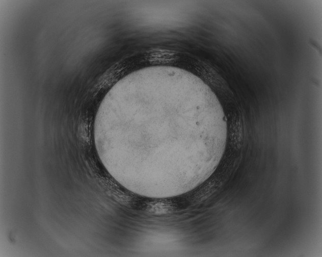 X0000100500755200807031940