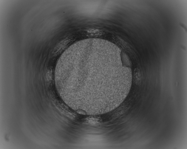 X0000100500756200807031940