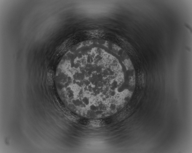 X0000100500757200807031940