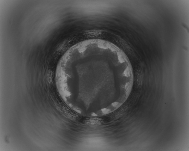 X0000100500758200807031940