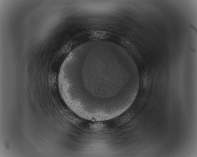 X0000100500759200807031940