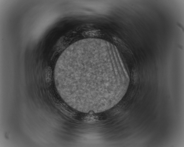 X0000100500760200807031940