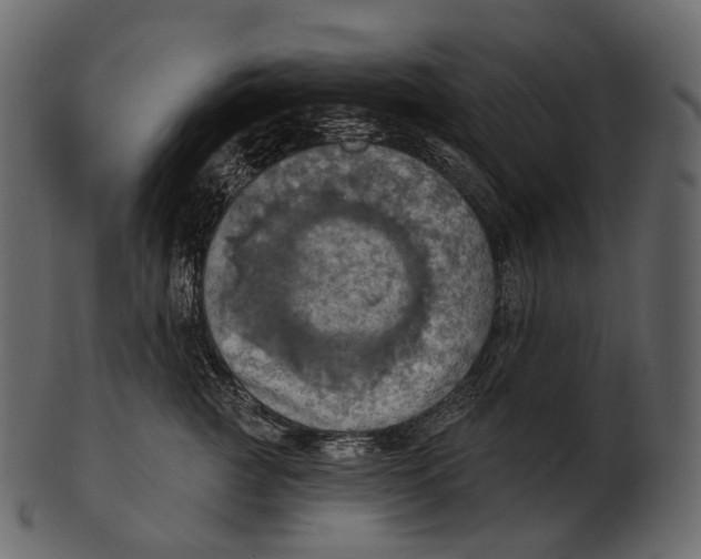 X0000100500761200807031940