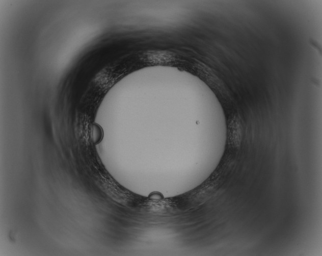 X0000100500762200807031940