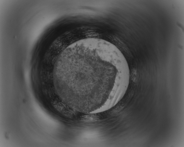 X0000100500763200807031940