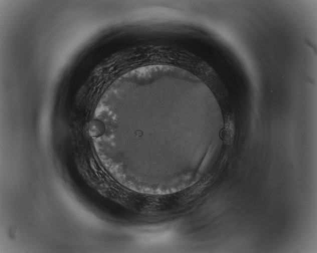 X0000100500765200807031940