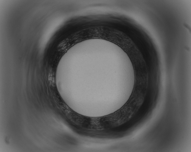 X0000100500766200807031940