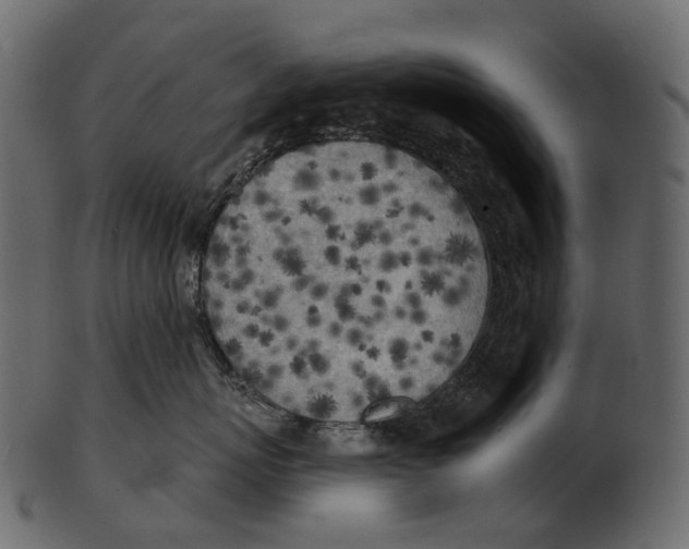 X0000100500767200807031940