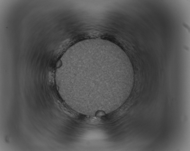 X0000100500768200807031940