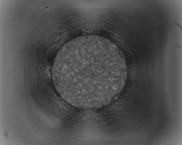 X0000100500770200807031940