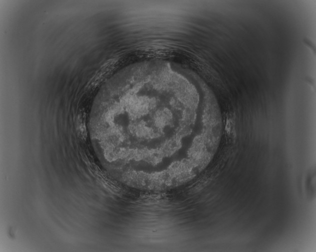 X0000100500771200807031940