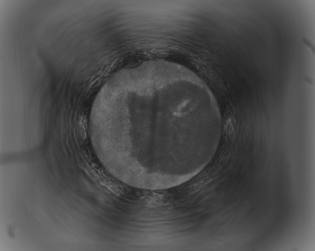 X0000100500772200807031940