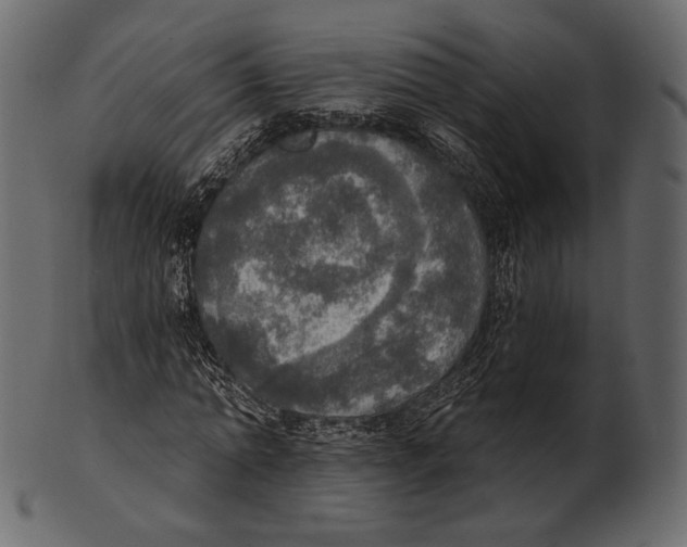 X0000100500774200807031940