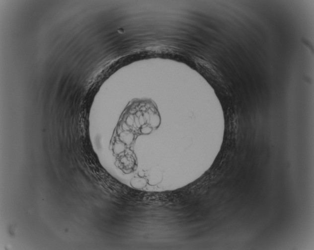 X0000100500776200807031940