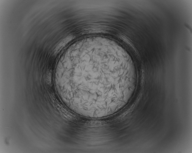 X0000100500777200807031940