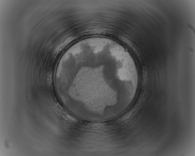 X0000100500778200807031940