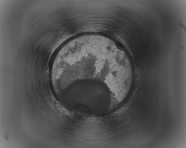 X0000100500779200807031939