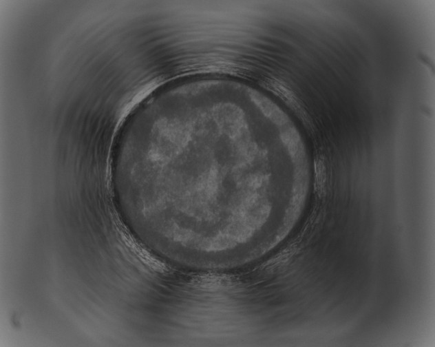 X0000100500780200807031939