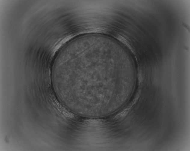 X0000100500781200807031939