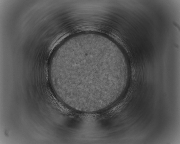 X0000100500782200807031939